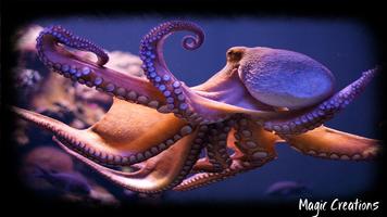 Octopus Wallpaper capture d'écran 3