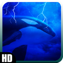 Orca Wallpaper APK