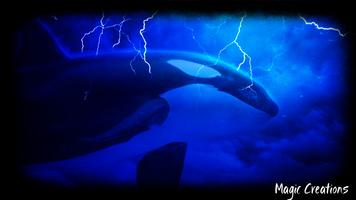 Orca Wallpaper poster