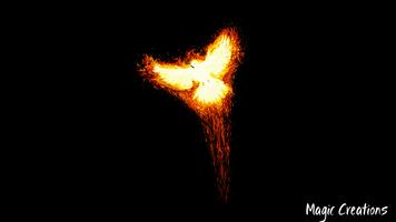 Phoenix Wallpaper Affiche