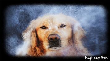 Golden Retriever Wallpaper Plakat