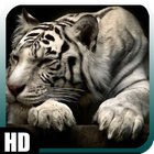 White Tiger Wallpaper simgesi