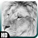 White Lion Wallpaper APK