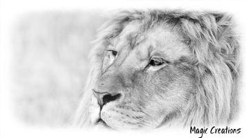 White Lion Wallpaper ポスター