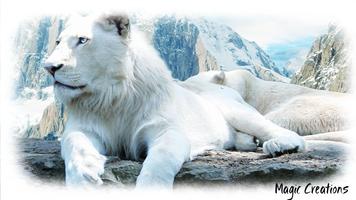 White Lion Wallpaper capture d'écran 1
