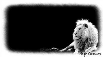 White Lion Wallpaper syot layar 2