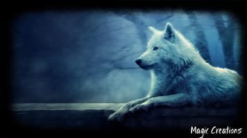 Wolf Wallpaper Cartaz