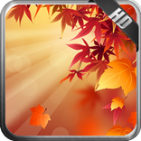 Autumn Wallpaper