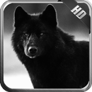 Black Wolf Pack 3 Wallpaper APK