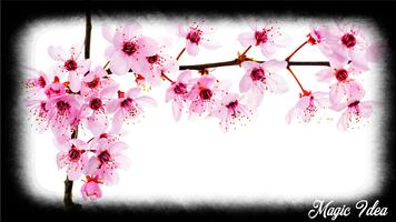 Cherry Blossom Wallpaper Affiche