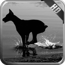 APK Doberman Pack 3 Wallpaper