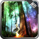 Fantasy Forest Pack 2 APK
