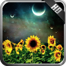 Sunflower Wallpaper APK