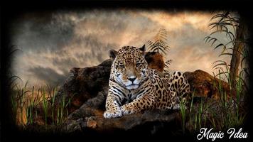 Jaguar Wallpaper capture d'écran 2