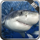 Megalodon Pack 2 Wallpaper APK