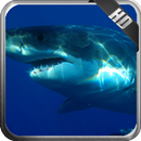 Megalodon Wallpaper APK