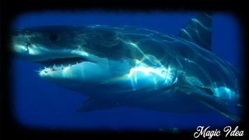 Megalodon Wallpaper poster