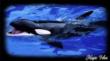 Orca Wallpaper スクリーンショット 2