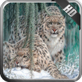 Snow Leopard Wallpaper