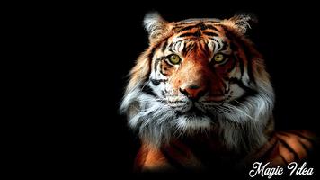 Tiger Wallpaper โปสเตอร์