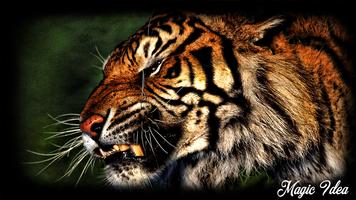 Tiger Wallpaper ภาพหน้าจอ 1