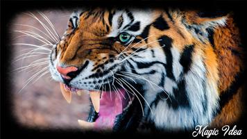 Tiger Wallpaper ภาพหน้าจอ 2