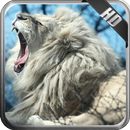 White Lion Wallpaper APK