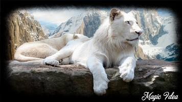 White Lion Wallpaper Ekran Görüntüsü 1