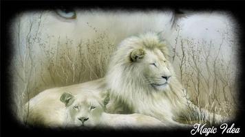 White Lion Wallpaper syot layar 2