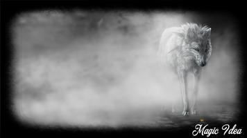 White Wolf Wallpaper پوسٹر