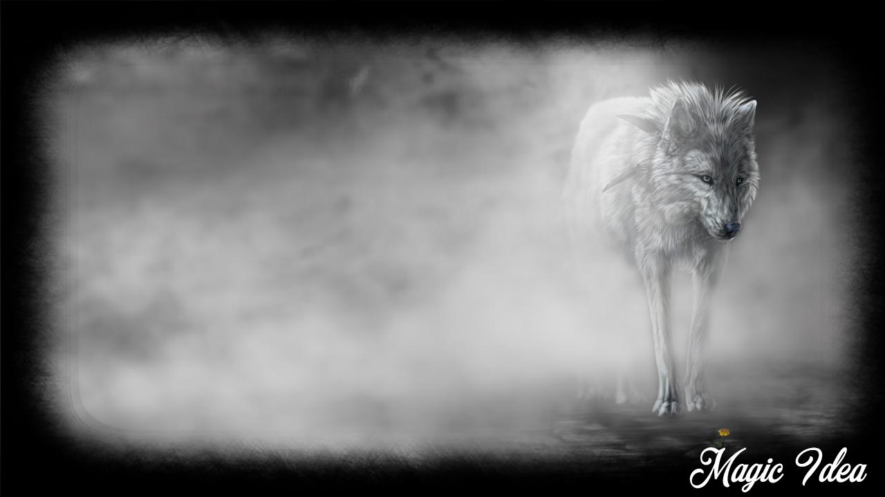 40 Gambar Wallpaper Black and White Wolf terbaru 2020