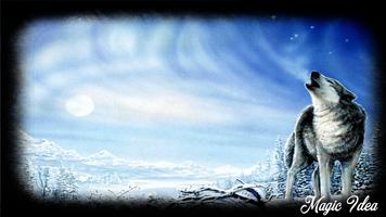 White Wolf Wallpaper اسکرین شاٹ 1