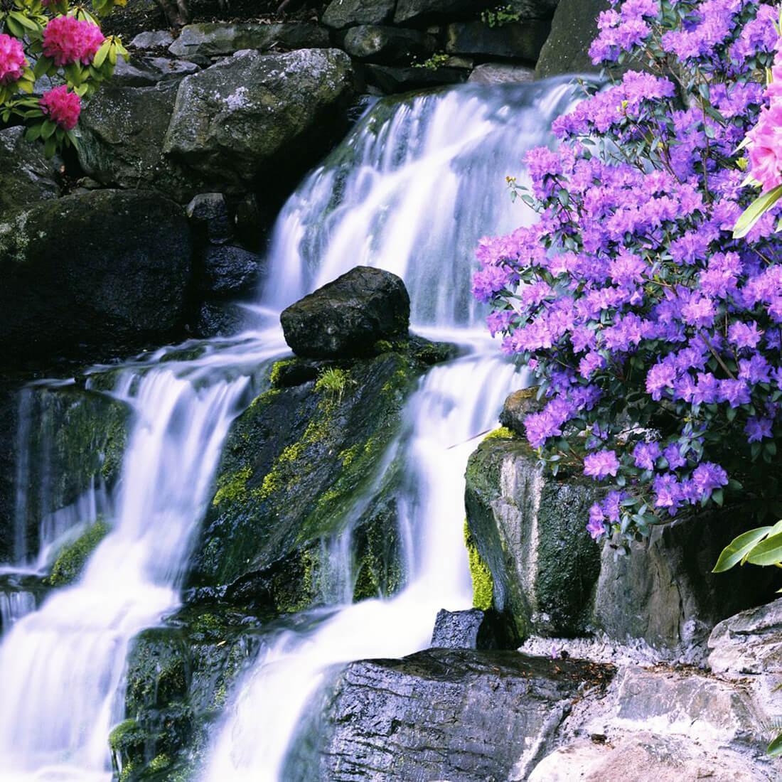 Красиве видео. Аланья водопад цветы. Эмирган водопад. Товансон водопад.