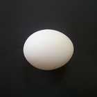 Yumurta simgesi