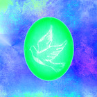 Mystery Surprise Eggs icon
