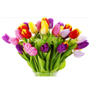 Make Your Bouquet Flowers APK