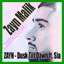 ZAYN - Dusk Till Dawn ft. Sia All Songs APK