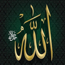 Allah k Naam with meanings APK