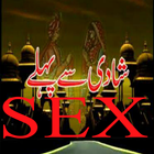 Shadi se Pehlay Sex icône
