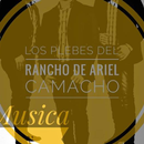 Musica Los Plebes Del Ranco APK