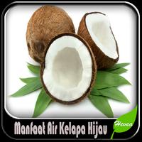 Manfaat Air Kelapa Hijau スクリーンショット 1