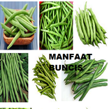 Manfaat Buncis untuk kesehatan