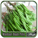 Manfaat Buah Pete APK