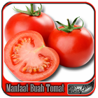 Manfaat Buah Tomat icône
