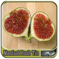 Manfaat Buah Tin