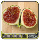 Manfaat Buah Tin APK