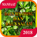 Manfaat Daun Binahong Dan Daun Salam APK