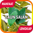 Manfaat Daun Salam