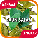 APK Manfaat Daun Salam