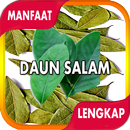 Manfaat Daun Salam aplikacja